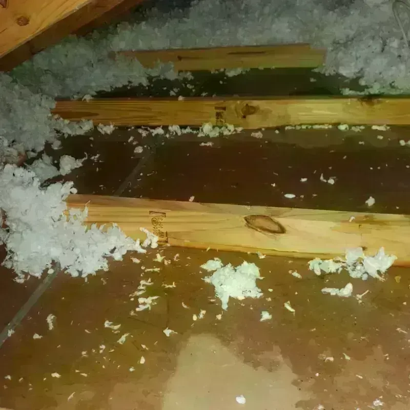 Attic Water Damage in Coushatta, LA